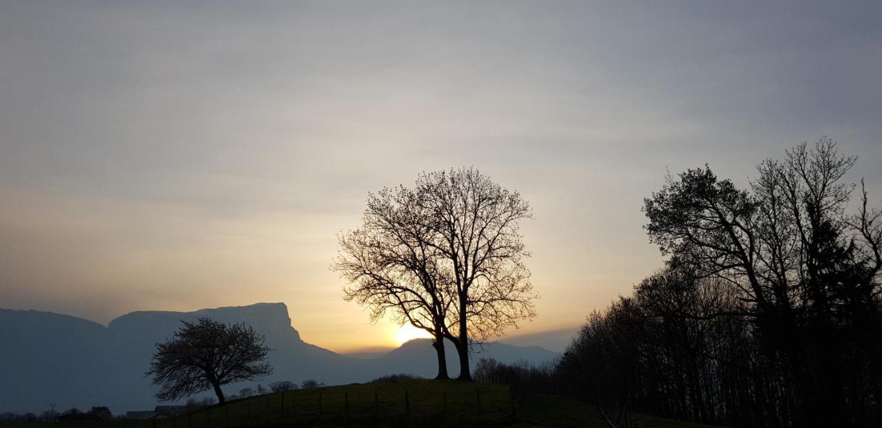 Gite Clair, Spacieux Et Cosy Avec Vue Sur Le Massif De La Chartreuse Sainte-Helene-du-Lac Bagian luar foto